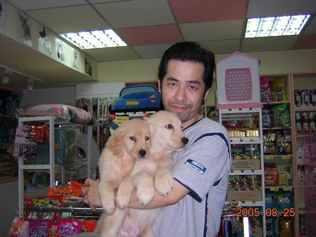 陈道明的第六张照片--香港认干亲服务网